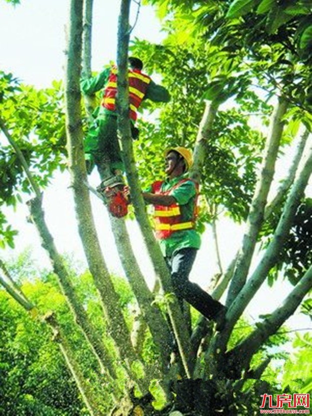 厦门房产,厦门房地产,厦门新房,九房网,厦门房产 厦门房产,厦门房地产,厦门新房,九房网,厦门房产