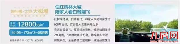 碧桂园粤港澳大湾区产品发布会11月8日圆满落幕!——九房网 碧桂园粤港澳大湾区产品发布会11月8日圆满落幕!——九房网