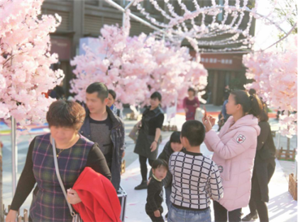 南安恒大御景:挤爆了!南安全城共赴樱花盛宴——九房网