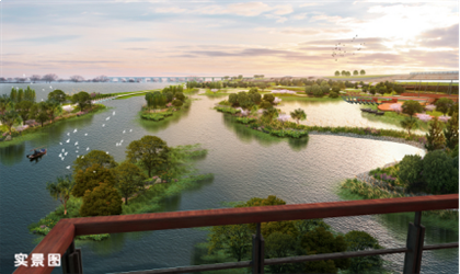 南安恒大御景:挤爆了!南安全城共赴樱花盛宴——九房网