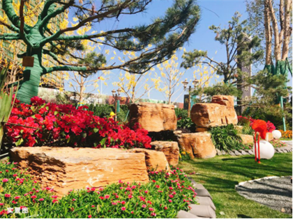 南安恒大御景:挤爆了!南安全城共赴樱花盛宴——九房网