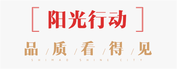 如何打造过硬的工程品质,这个楼盘堪称楷模——九房网 如何打造过硬的工程品质,这个楼盘堪称楷模——九房网