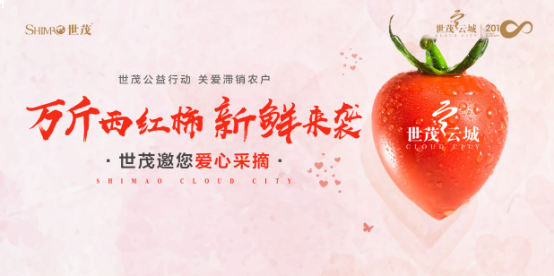 世茂云城:帮扶泉港滞销农户 万斤西红柿爱心派送——九房网 世茂云城:帮扶泉港滞销农户 万斤西红柿爱心派送——九房网