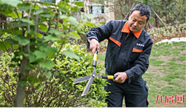 建发汇嘉：生活因服务而改变——九房网