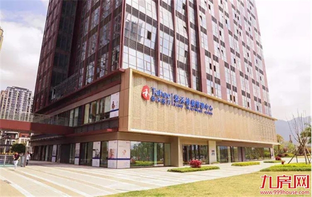 练好内功背后，泰禾如何读懂市场需求——九房网