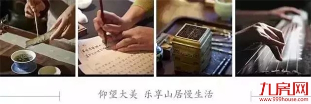 泉州南火了，紫帽再一次名声大噪竟是因为...——九房网