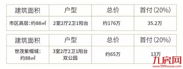 泉州南火了，紫帽再一次名声大噪竟是因为...——九房网