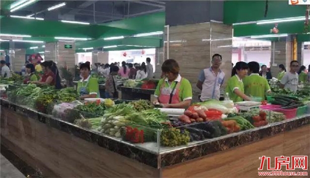 泉州南火了，紫帽再一次名声大噪竟是因为...——九房网