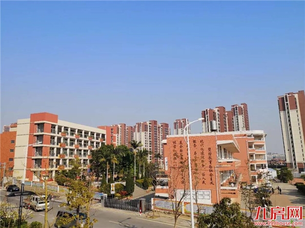 泉州南火了，紫帽再一次名声大噪竟是因为...——九房网