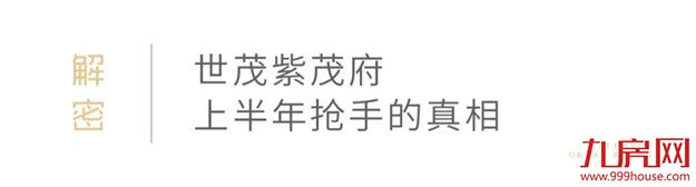 泉州南火了，紫帽再一次名声大噪竟是因为...——九房网