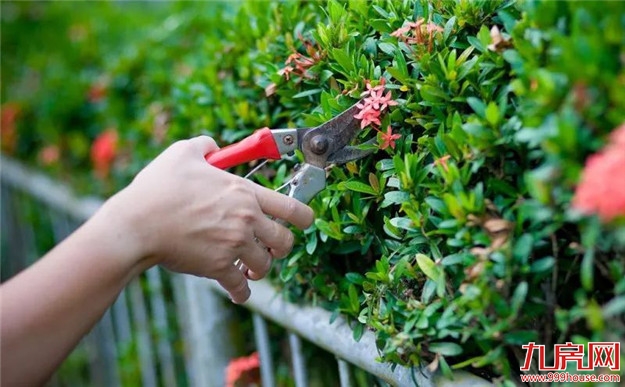 【恒大悦龙台】狮龙聚首,以优质服务敬献尊崇人物——九房网 【恒大悦龙台】狮龙聚首,以优质服务敬献尊崇人物——九房网