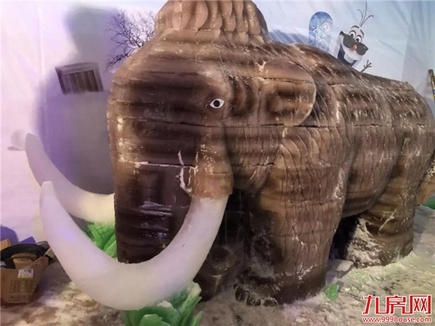 我在水头的艳阳天，大雪纷飞——九房网