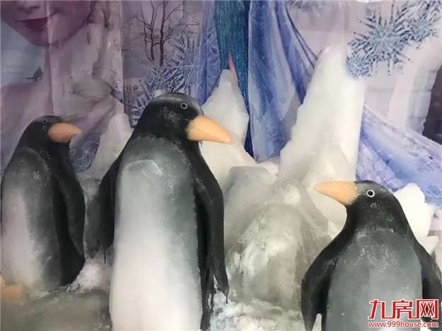 我在水头的艳阳天，大雪纷飞——九房网