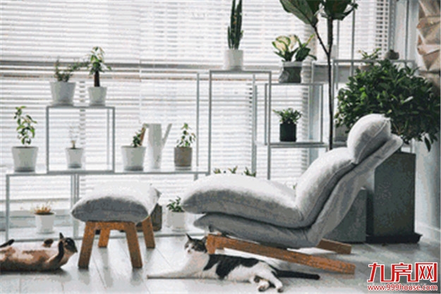 比《延禧攻略》宫斗还火的竟然是……——九房网 比《延禧攻略》宫斗还火的竟然是……——九房网