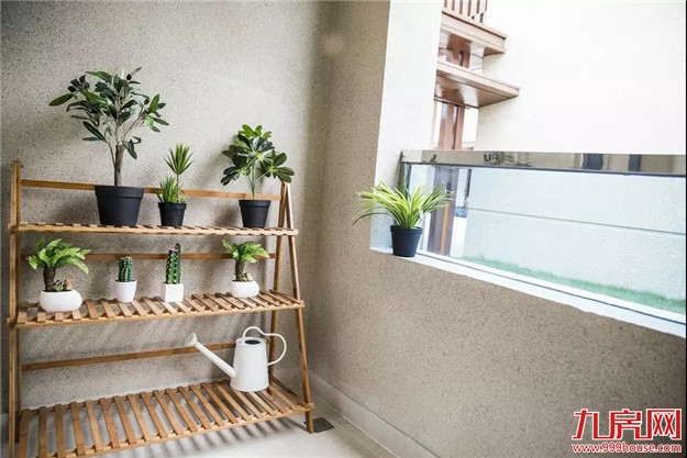 了不起的房子敬献了不起的水头人——九房网