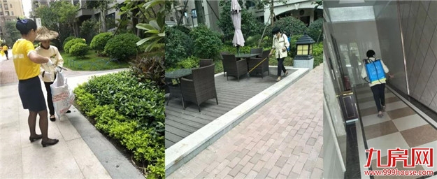 【浓情金秋 家书来报】福建中骏多项目实景呈现，醉美生活如期而至——九房网