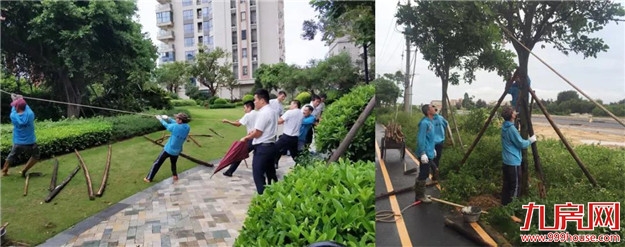 【浓情金秋 家书来报】福建中骏多项目实景呈现，醉美生活如期而至——九房网