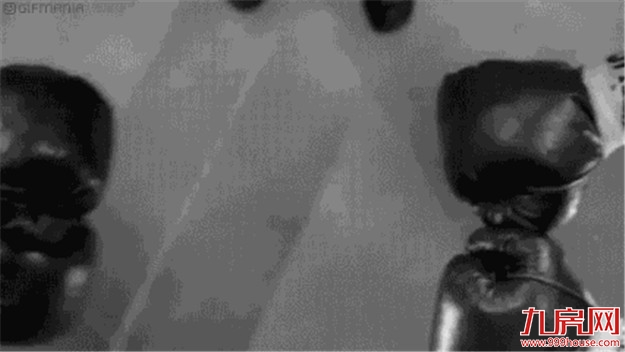 继世中会后,又一个世界级赛事即将燃情上演!——九房网 继世中会后,又一个世界级赛事即将燃情上演!——九房网