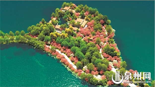 泉州市有座桃花岛 西湖公园将增添一处赏花休闲佳境——九房网
