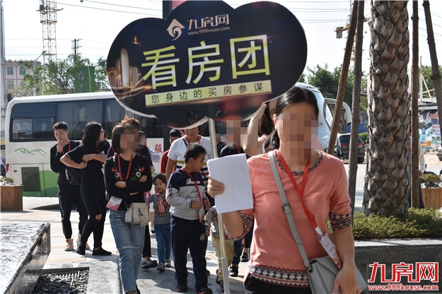 自住、投资一步搞定!九房网看房团指路增值新高地——九房网 自住、投资一步搞定!九房网看房团指路增值新高地——九房网