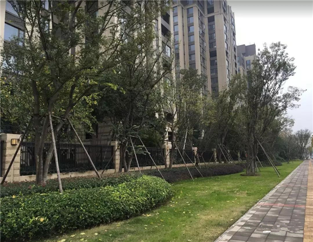 厦门房产,厦门房地产,厦门新房,九房网,厦门房产