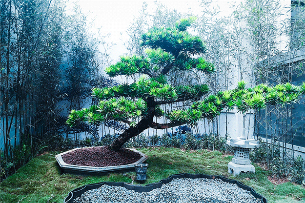 厦门房产,厦门房地产,厦门新房,九房网,厦门房产 厦门房产,厦门房地产,厦门新房,九房网,厦门房产