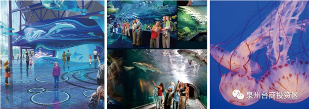 总投资超百亿,2020年繁华兑现!泉州这个区域腾飞在即!——九房网 总投资超百亿,2020年繁华兑现!泉州这个区域腾飞在即!——九房网