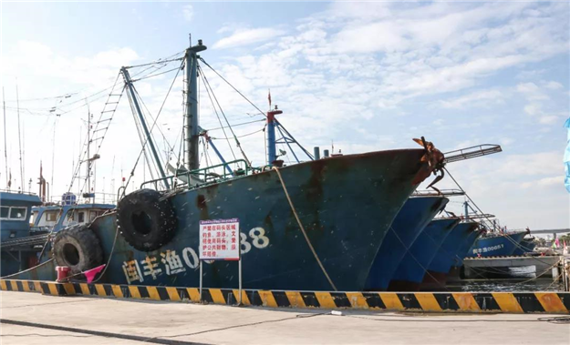 教育、交通、地标等利好配套都来了！泉州一批重点项目集中开竣工……——九房网