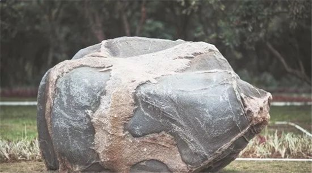 春节亮相!泉州这公园面积堪比15个刺桐公园!位置在...——九房网 春节亮相!泉州这公园面积堪比15个刺桐公园!位置在...——九房网