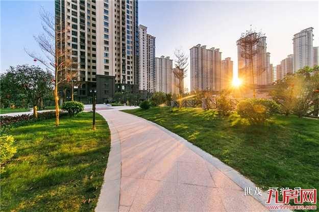 世界城一展厅惊现“龙”的身影！真相竟与世茂双组团新品有关？——九房网