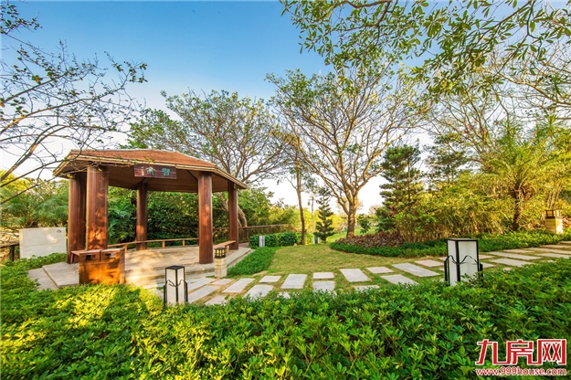 世界城一展厅惊现“龙”的身影！真相竟与世茂双组团新品有关？——九房网