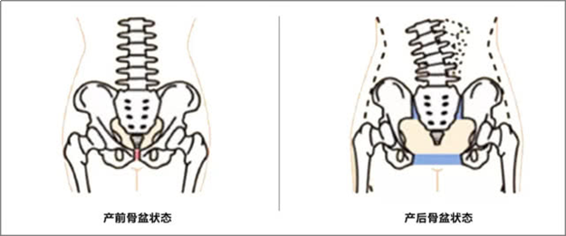 伊贝姿:专业产前产后护理 呵护女人健康美丽一辈子!——九房网 伊贝姿:专业产前产后护理 呵护女人健康美丽一辈子!——九房网