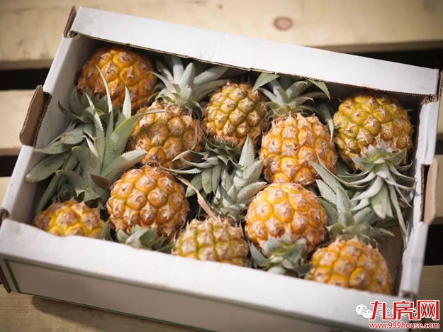 厦门房产,厦门房地产,厦门新房,九房网,厦门房产 厦门房产,厦门房地产,厦门新房,九房网,厦门房产