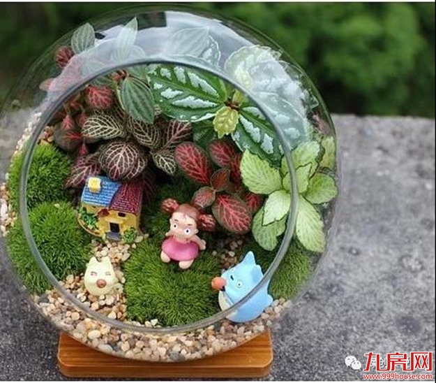 厦门房产,厦门房地产,厦门新房,九房网,厦门房产 厦门房产,厦门房地产,厦门新房,九房网,厦门房产