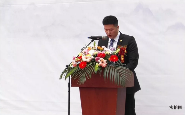 众星捧悦金交椅——九房网 众星捧悦金交椅——九房网