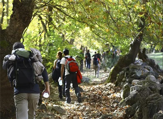 首期款6万起 刺桐路F级钻石小户型焕新绽放!——九房网 首期款6万起 刺桐路F级钻石小户型焕新绽放!——九房网