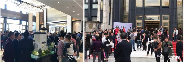 众星捧悦金交椅——九房网 众星捧悦金交椅——九房网