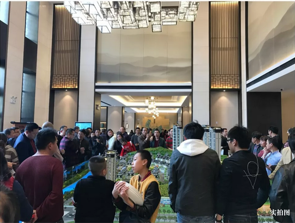 众星捧悦金交椅——九房网 众星捧悦金交椅——九房网