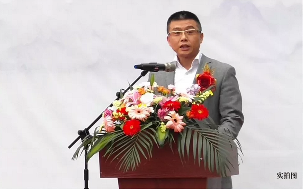 众星捧悦金交椅——九房网 众星捧悦金交椅——九房网