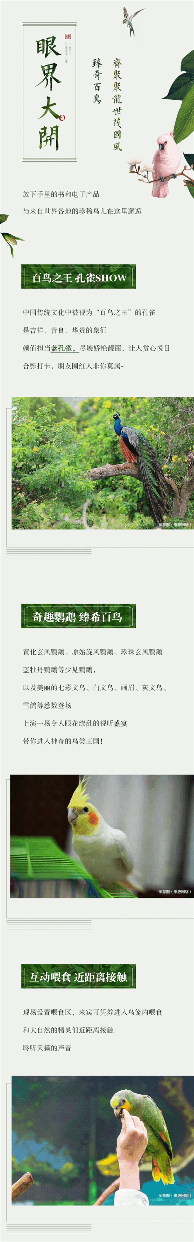 万亩湖山，百鸟争鸣！人间四月天，倾听汉唐国风中的鸟语花香——九房网