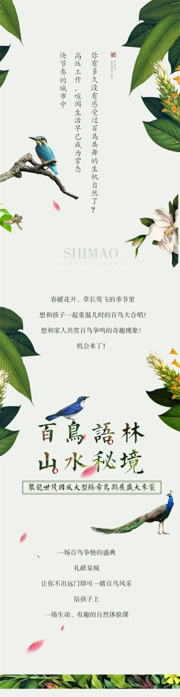 万亩湖山，百鸟争鸣！人间四月天，倾听汉唐国风中的鸟语花香——九房网