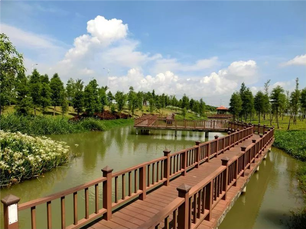 占地超30亩!效果图曝光!大泉州这个区域将建一个湿地公园——九房网 占地超30亩!效果图曝光!大泉州这个区域将建一个湿地公园——九房网