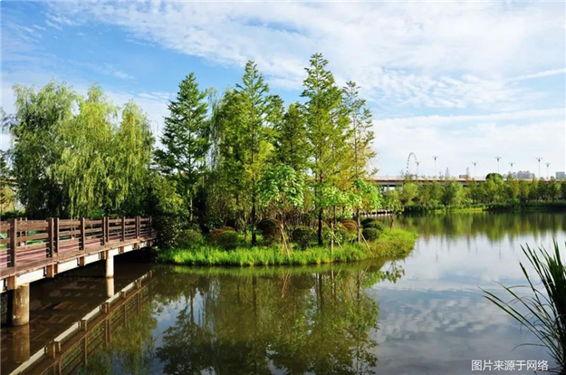 情醉西溪风情,梦栖湿地画廊——九房网 情醉西溪风情,梦栖湿地画廊——九房网