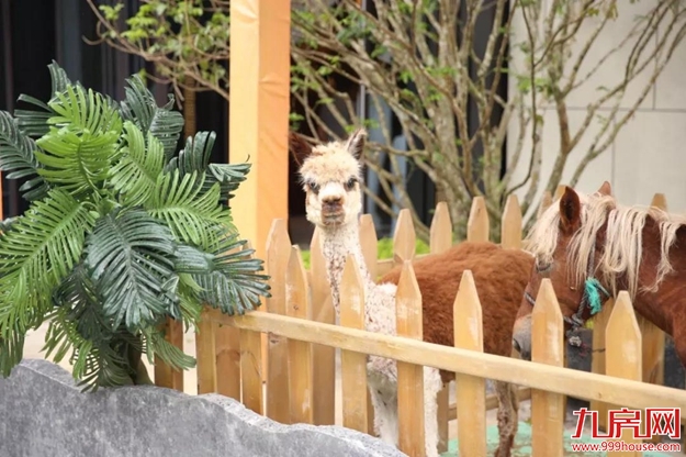 厦门房产,厦门房地产,厦门新房,九房网,厦门房产