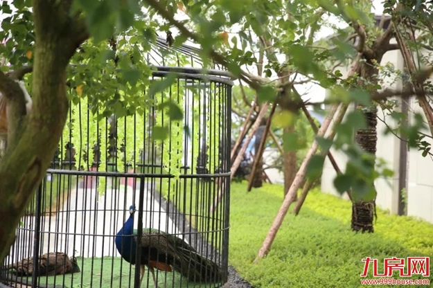 厦门房产,厦门房地产,厦门新房,九房网,厦门房产