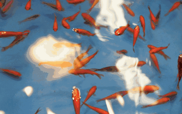 穿越时空隧道,追寻90青春记忆——九房网 穿越时空隧道,追寻90青春记忆——九房网