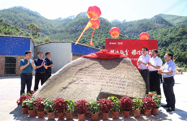 厦门房产,厦门房地产,厦门新房,九房网,厦门房产