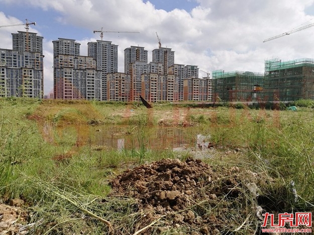 两年涨3813元/㎡！一天怒踩7盘！未来这个板块还要火一波！——九房网