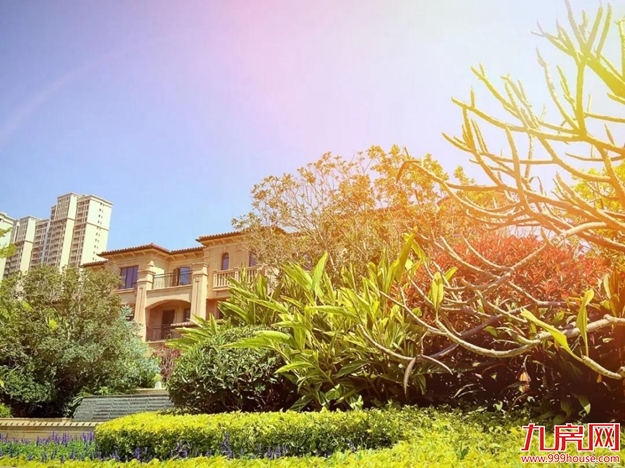 厦门房产,厦门房地产,厦门新房,九房网,厦门房产