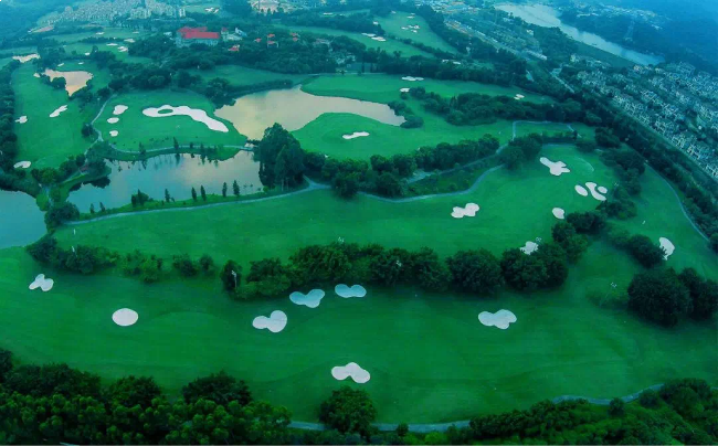 交付啦!世茂国风紫帽一起回家,悦见幸福时光 !——九房网 交付啦!世茂国风紫帽一起回家,悦见幸福时光 !——九房网